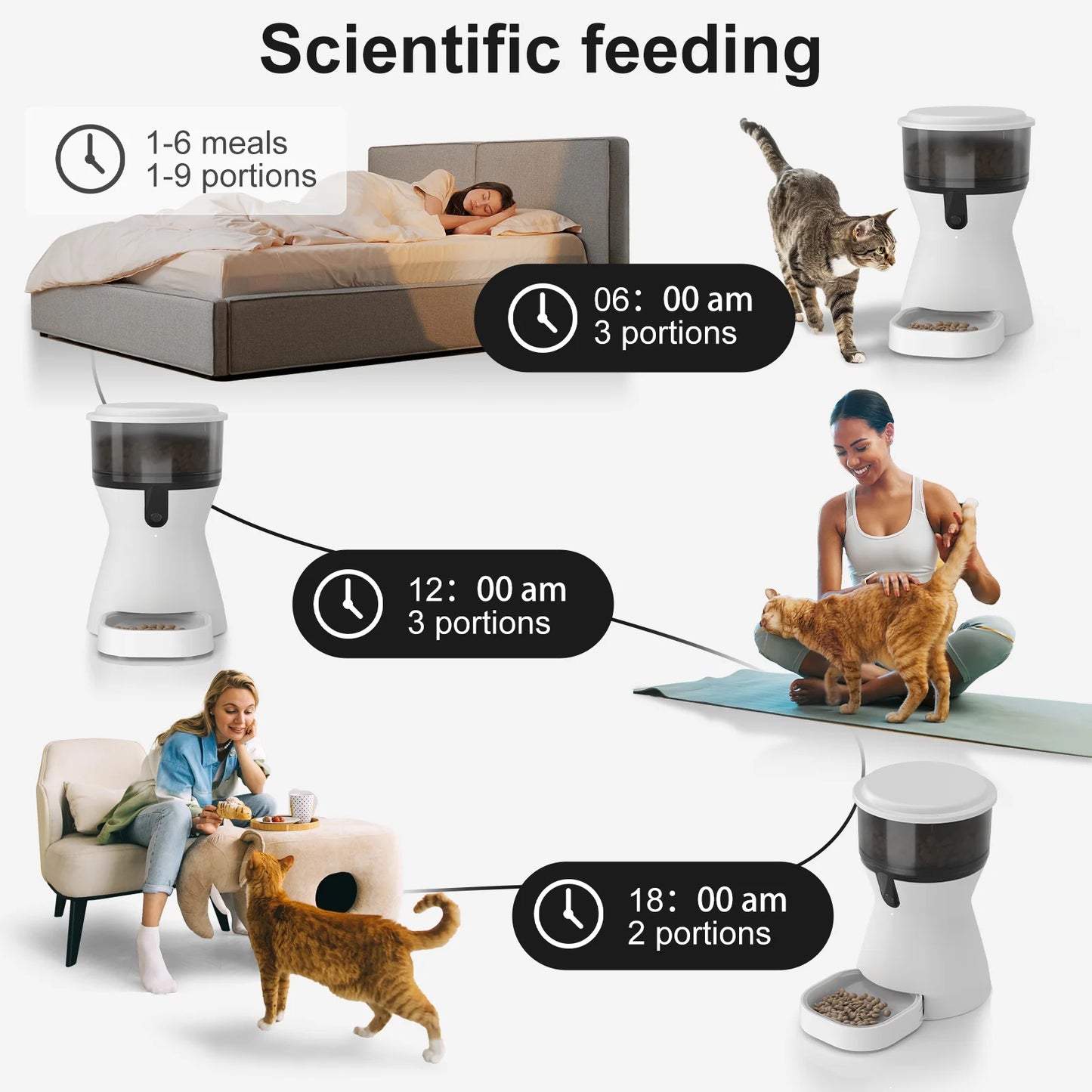 Timed Cat Feeder Programmable Portion