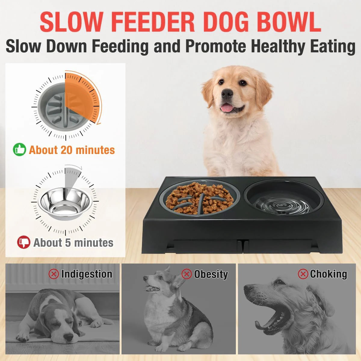 Elevated Slow Feeder